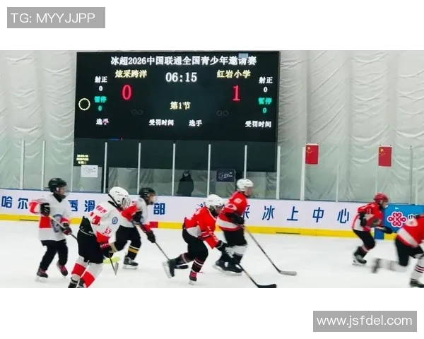 哈尔滨市南岗区体校正（U12组）获全国青少年冰球公开赛亚军